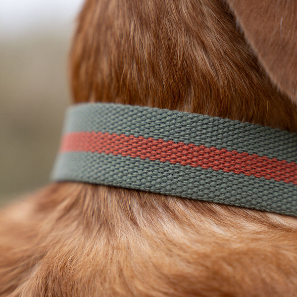All-Terrain Collar Khaki & Chestnut