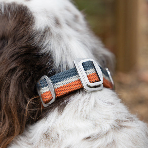 All-Terrain Collar Navy & Amber