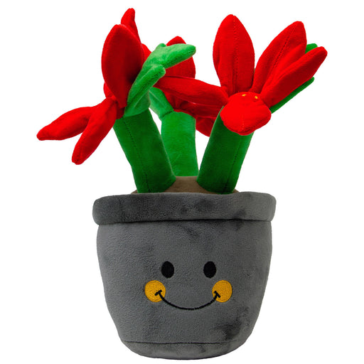 Ancol Xmas Henrietta Poinsettia