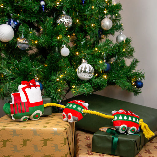 Ancol Christmas Express