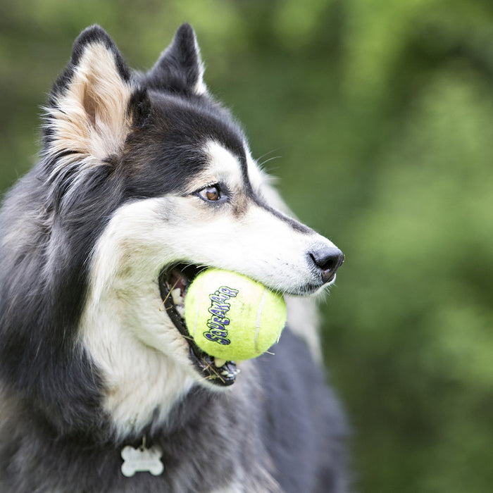 Kong Air Squeaker Tennis Ball Medium 6pk