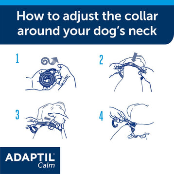 Adaptil Calming Dog Collar