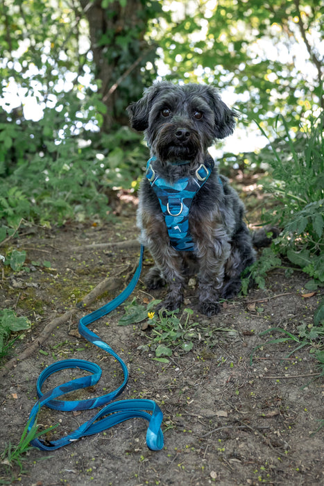 Twiggy Tags Adventure 2.0 Small Lead - Lagoon