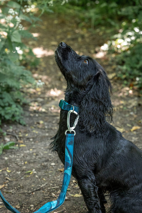 Twiggy Tags Adventure 2.0 Close Control Lead Lagoon