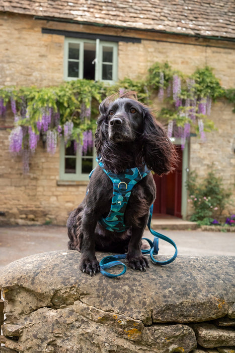 Twiggy Tags Adventure 2.0 Small Lead - Lagoon