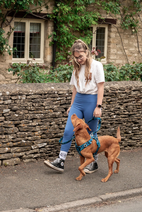 Twiggy Tags Adventure 2.0 Close Control Lead Lagoon