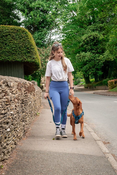 Twiggy Tags Adventure 2.0 Close Control Lead Lagoon