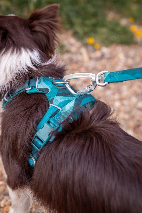 Twiggy Tags Adventure 2.0 Small Lead - Lagoon