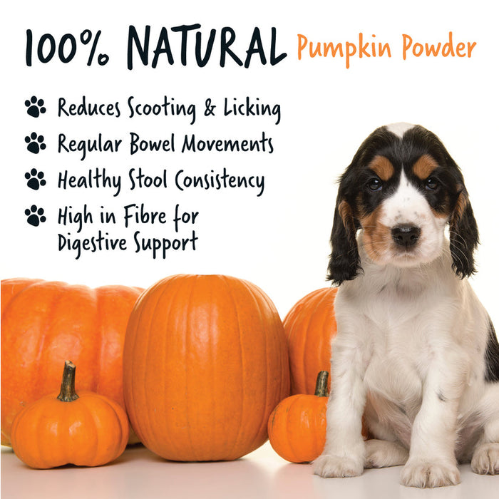 Bugalugs Pumpkin Powder 200g