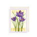 The Art File Crocuses Card
