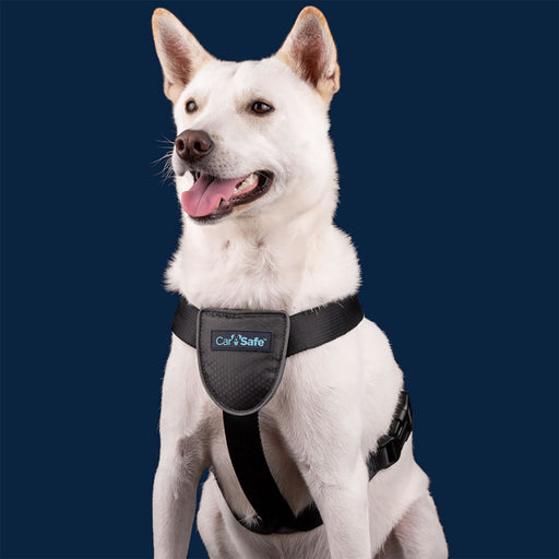 Carsafe Dog Harness Black