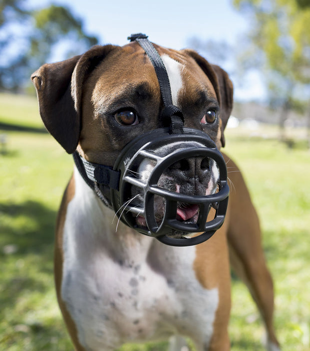 Baskerville Ultra Basket Muzzle
