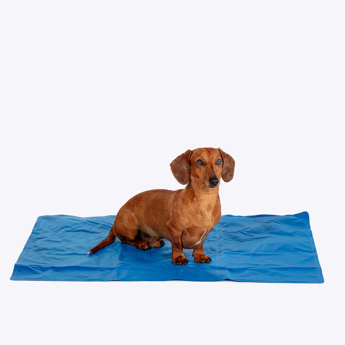Danish Designs Pet Cooling Mat
