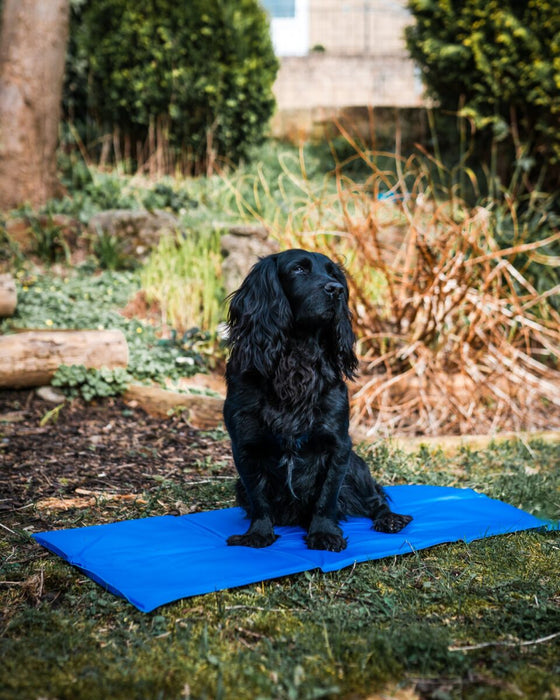 Danish Designs Pet Cooling Mat