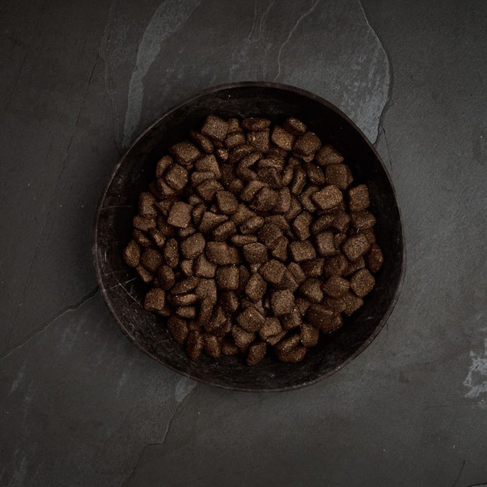 Canagan Grass Fed Lamb For Dogs 2kg