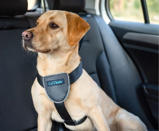 Carsafe Dog Harness Black