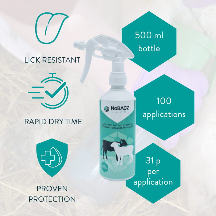 NoBacz Navel Dip 500ml