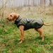 Danish Design 3-in-1 Dog Coat Olive
