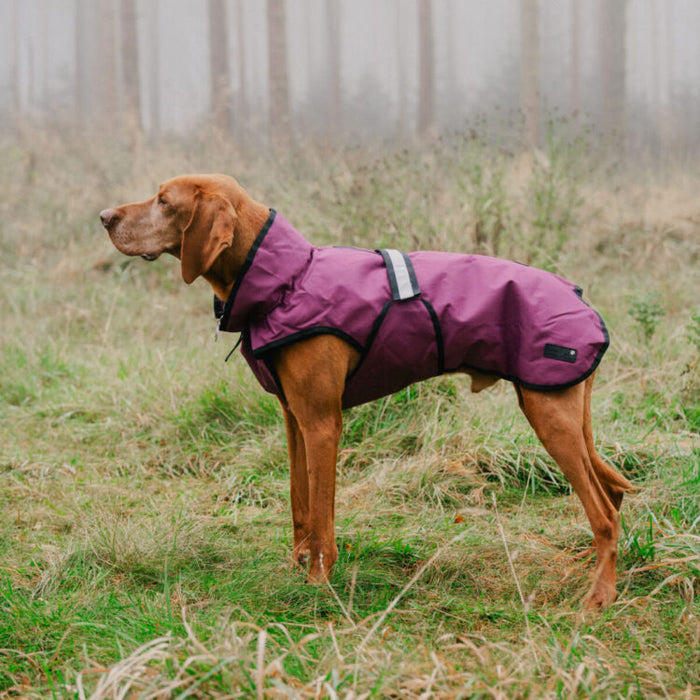 Danish Design 3-in-1 Dog Coat Plum
