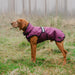 Danish Design 3-in-1 Dog Coat Plum
