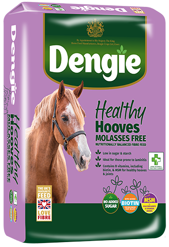 Dengie Healthy Hooves Molasses Free 20kg
