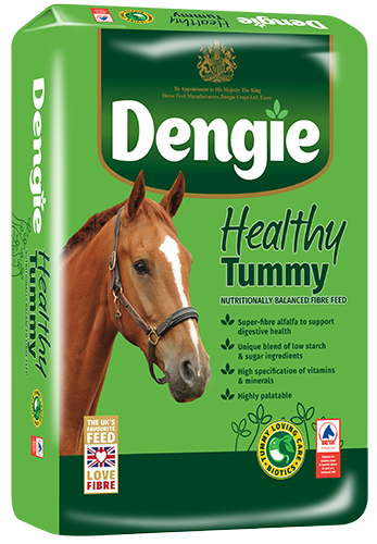 Dengie Healthy Tummy 20kg
