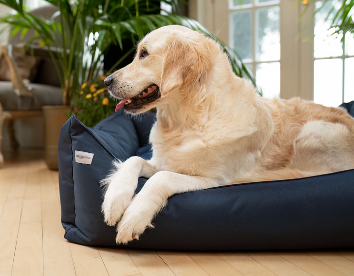 EarthBound Rectangular Waterproof Bed Midnight Blue
