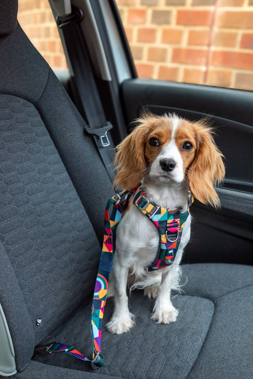 Twiggy Tags ISOFIX Seat Belt Aurora