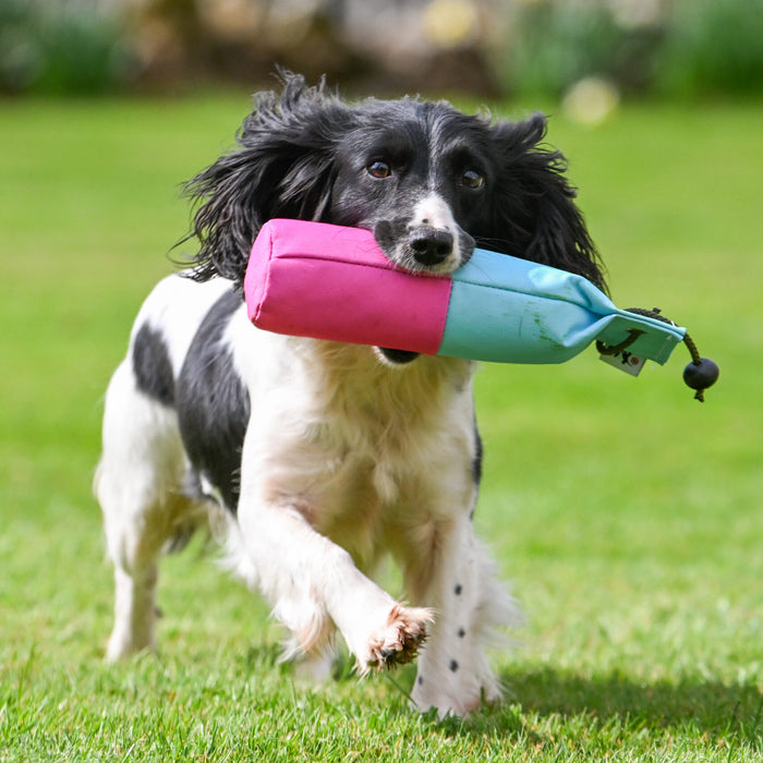 Sporting Saint 1lb Pink & Baby Blue Canvas Dummy
