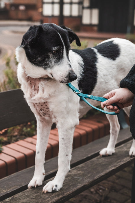 Twiggy Tags Tidal Grab Handle Azure