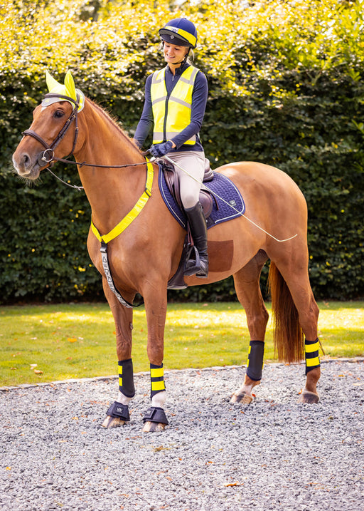 Woof Wear Hi Viz Neck Band Yellow