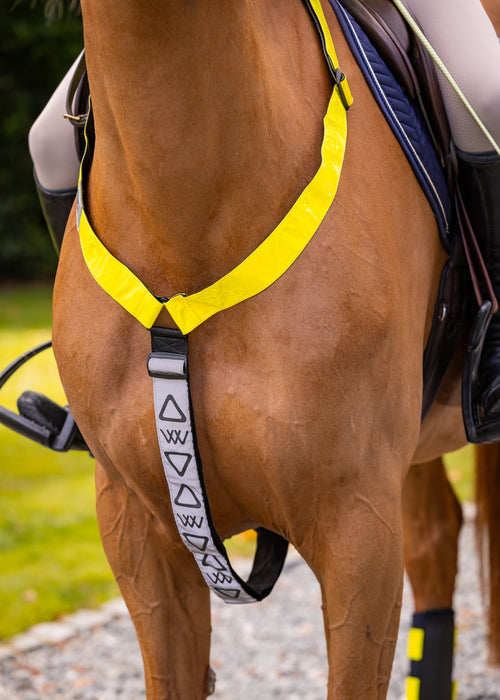 Woof Wear Hi Viz Neck Band Yellow