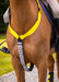Woof Wear Hi Viz Neck Band Yellow