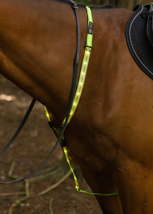 WoofWear LED Neck Band