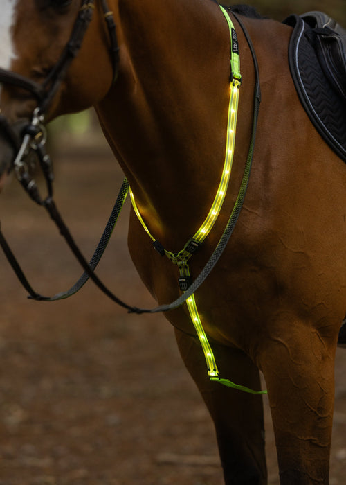 WoofWear LED Neck Band