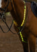 WoofWear LED Neck Band
