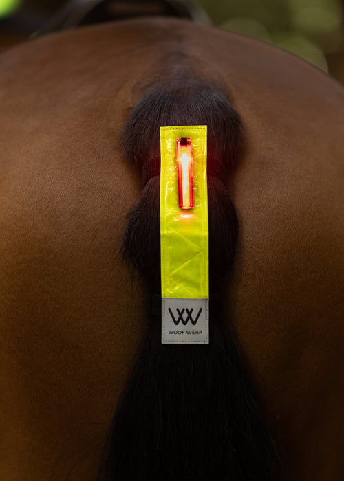 WoofWear Hi Viz LED Tail Light