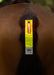 WoofWear Hi Viz LED Tail Light