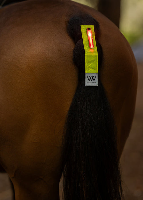WoofWear Hi Viz LED Tail Light