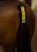 WoofWear Hi Viz LED Tail Light