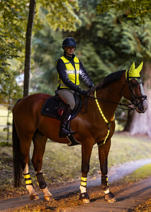 WoofWear Rider Safety Lights 3in1