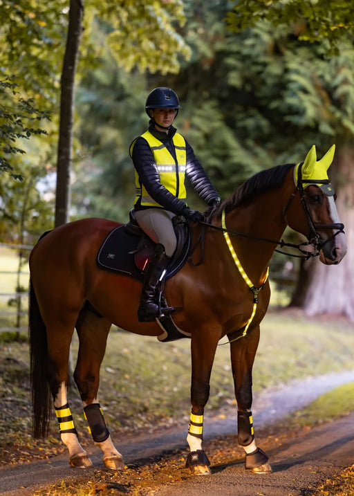 WoofWear Rider Safety Lights 3in1
