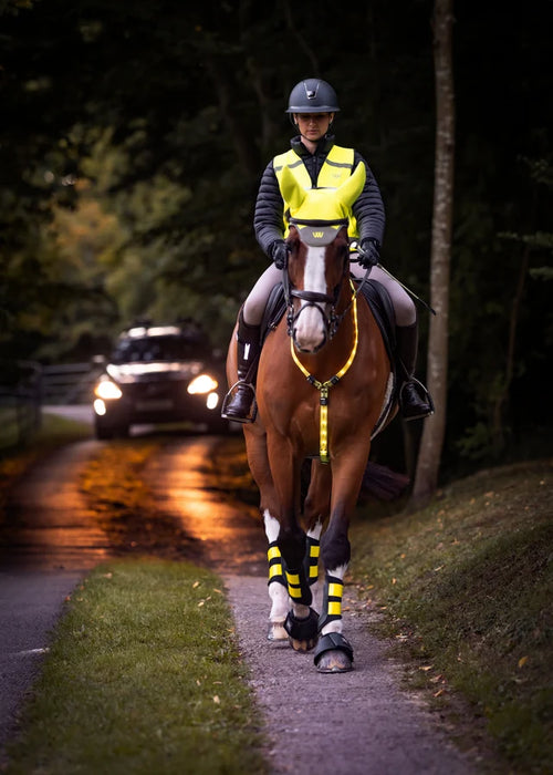 WoofWear Rider Safety Lights 3in1