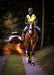 WoofWear Rider Safety Lights 3in1