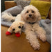 Lamb Chop Plush Dog Toy
