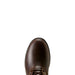 Ariat Women's Wythburn H2O Boots