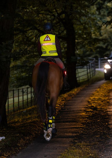 WoofWear LED Hi Vis Riding Vest Yellow
