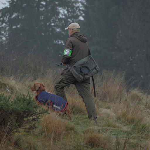 Sporting Saint Field Trial Dog Coat