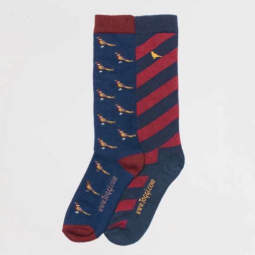 Toggi Frankland Blue & Sienna Socks 2pk