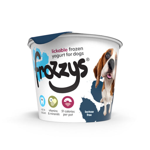 Frozzy's Frozen Yoghurt Blueberry 4pk